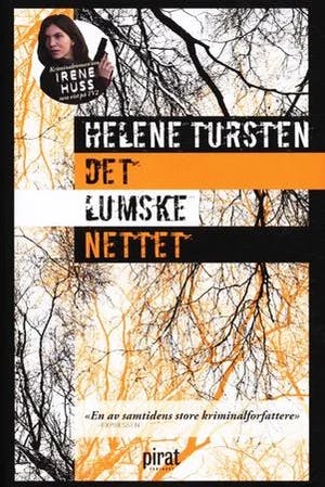 Omslag: "Det lumske nettet. 9" av Helene Tursten
